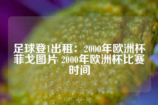 足球登1出租：2000年欧洲杯菲戈图片 2000年欧洲杯比赛时间-第1张图片-皇冠信用盘出租