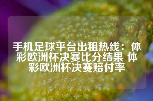 手机足球平台出租热线：体彩欧洲杯决赛比分结果 体彩欧洲杯决赛赔付率-第1张图片-皇冠信用盘出租