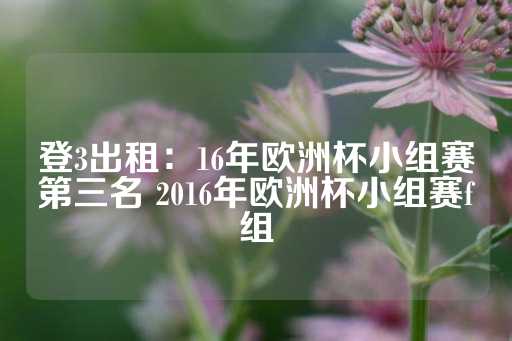 登3出租：16年欧洲杯小组赛第三名 2016年欧洲杯小组赛f组-第1张图片-皇冠信用盘出租