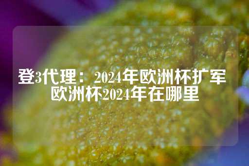 登3代理：2024年欧洲杯扩军 欧洲杯2024年在哪里-第1张图片-皇冠信用盘出租