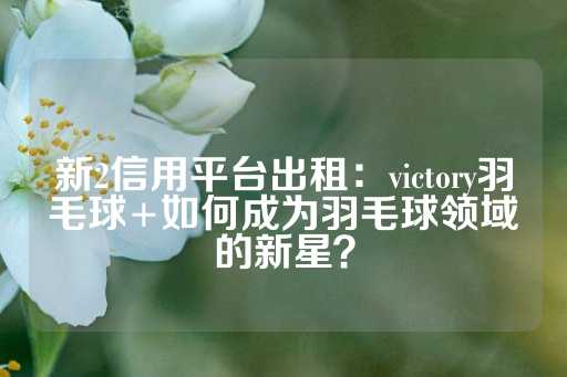 新2信用平台出租：victory羽毛球+如何成为羽毛球领域的新星？-第1张图片-皇冠信用盘出租