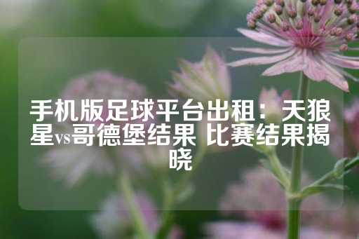 手机版足球平台出租：天狼星vs哥德堡结果 比赛结果揭晓