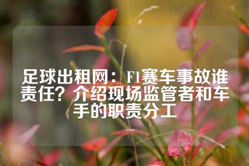 足球出租网：F1赛车事故谁责任？介绍现场监管者和车手的职责分工-第1张图片-皇冠信用盘出租