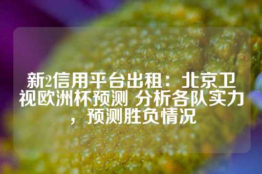 新2信用平台出租：北京卫视欧洲杯预测 分析各队实力，预测胜负情况-第1张图片-皇冠信用盘出租