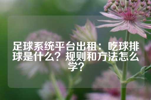 足球系统平台出租：吃球排球是什么？规则和方法怎么学？-第1张图片-皇冠信用盘出租