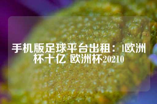 手机版足球平台出租：l欧洲杯十亿 欧洲杯20210