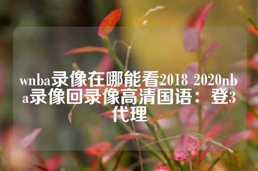 wnba录像在哪能看2018 2020nba录像回录像高清国语：登3代理