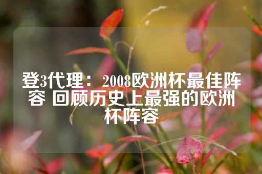 登3代理：2008欧洲杯最佳阵容 回顾历史上最强的欧洲杯阵容