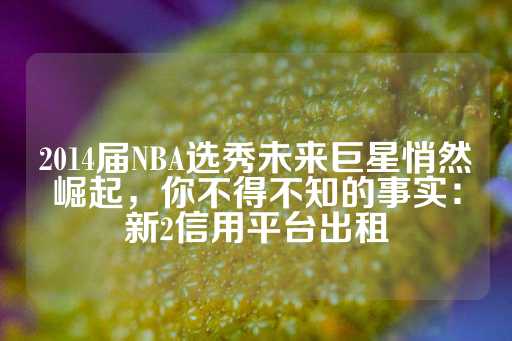 2014届NBA选秀未来巨星悄然崛起，你不得不知的事实：新2信用平台出租