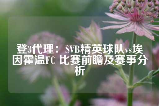 登3代理：SVB精英球队vs埃因霍温FC 比赛前瞻及赛事分析