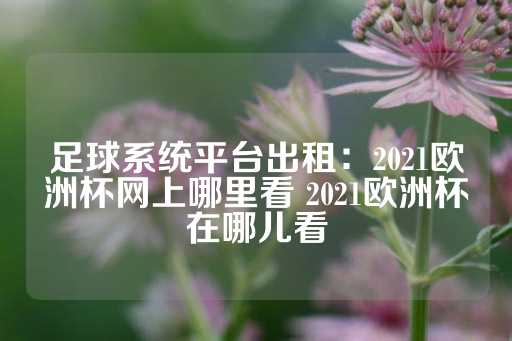 足球系统平台出租：2021欧洲杯网上哪里看 2021欧洲杯在哪儿看