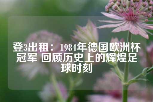 登3出租：1984年德国欧洲杯冠军 回顾历史上的辉煌足球时刻