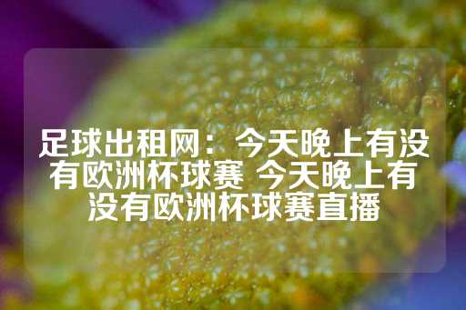 足球出租网：今天晚上有没有欧洲杯球赛 今天晚上有没有欧洲杯球赛直播-第1张图片-皇冠信用盘出租