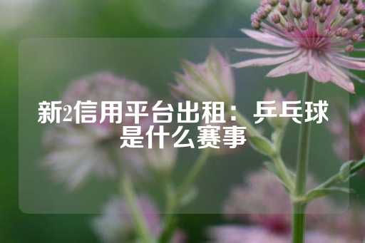 新2信用平台出租：乒乓球是什么赛事