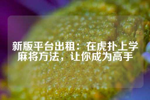 新版平台出租：在虎扑上学麻将方法，让你成为高手