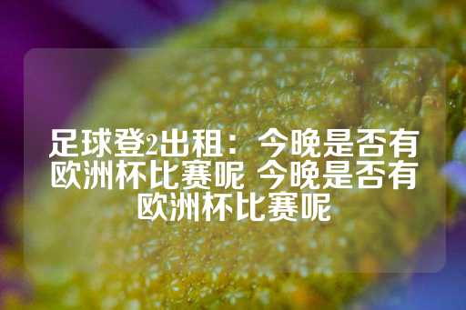 足球登2出租：今晚是否有欧洲杯比赛呢 今晚是否有欧洲杯比赛呢