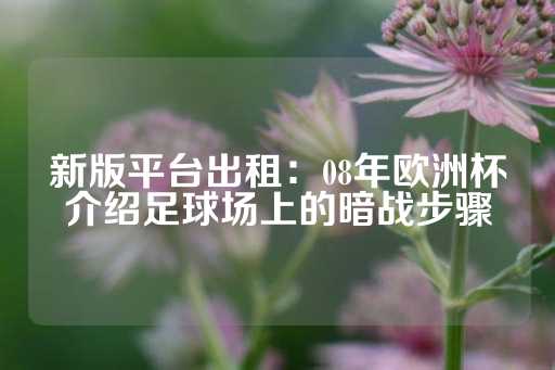 新版平台出租：08年欧洲杯介绍足球场上的暗战步骤-第1张图片-皇冠信用盘出租