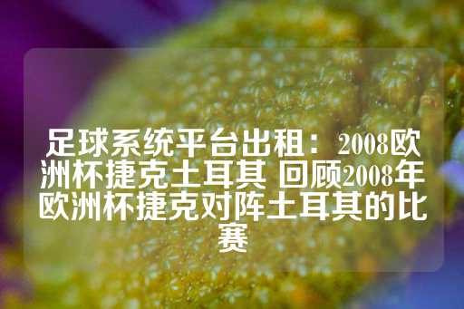 足球系统平台出租：2008欧洲杯捷克土耳其 回顾2008年欧洲杯捷克对阵土耳其的比赛