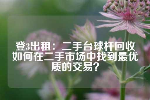 登3出租：二手台球杆回收如何在二手市场中找到最优质的交易？-第1张图片-皇冠信用盘出租