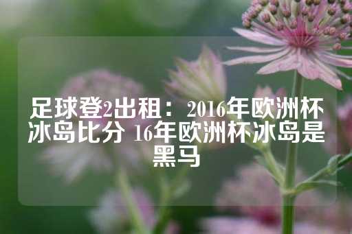 足球登2出租：2016年欧洲杯冰岛比分 16年欧洲杯冰岛是黑马-第1张图片-皇冠信用盘出租