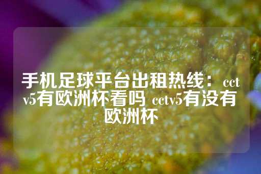 手机足球平台出租热线：cctv5有欧洲杯看吗 cctv5有没有欧洲杯-第1张图片-皇冠信用盘出租