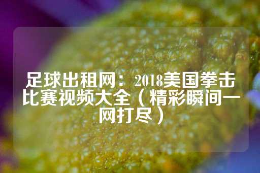 足球出租网：2018美国拳击比赛视频大全（精彩瞬间一网打尽）-第1张图片-皇冠信用盘出租