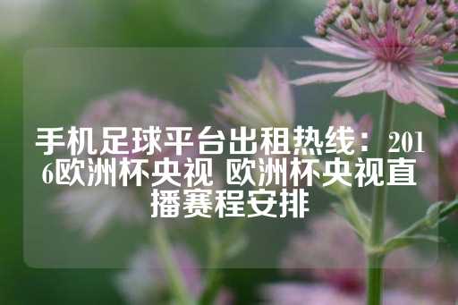 手机足球平台出租热线：2016欧洲杯央视 欧洲杯央视直播赛程安排-第1张图片-皇冠信用盘出租