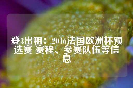 登3出租：2016法国欧洲杯预选赛 赛程、参赛队伍等信息-第1张图片-皇冠信用盘出租