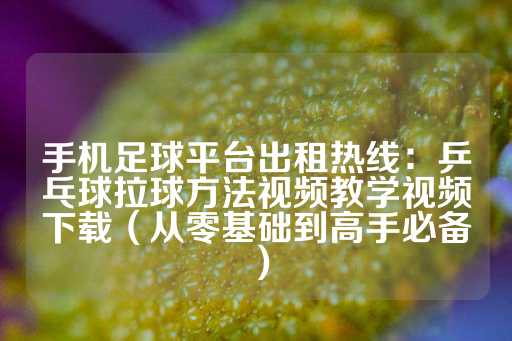 手机足球平台出租热线：乒乓球拉球方法视频教学视频下载（从零基础到高手必备）-第1张图片-皇冠信用盘出租