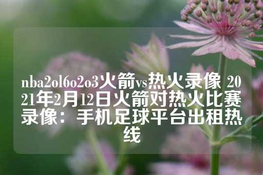 nba2ol6o2o3火箭vs热火录像 2021年2月12日火箭对热火比赛录像：手机足球平台出租热线-第1张图片-皇冠信用盘出租