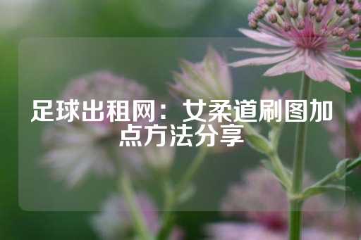 足球出租网：女柔道刷图加点方法分享