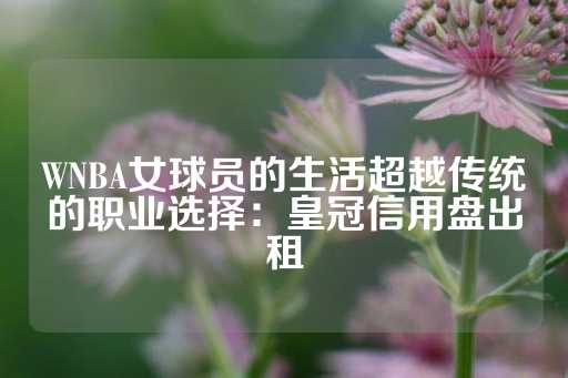 WNBA女球员的生活超越传统的职业选择：皇冠信用盘出租-第1张图片-皇冠信用盘出租