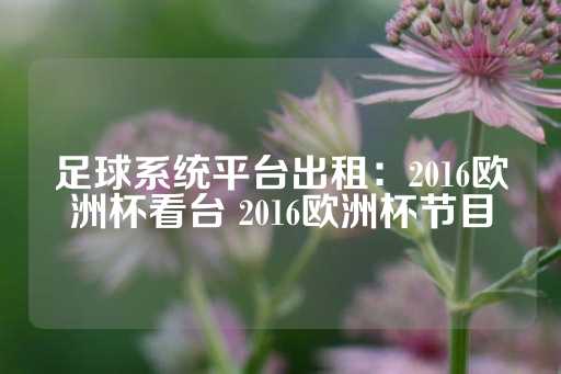 足球系统平台出租：2016欧洲杯看台 2016欧洲杯节目-第1张图片-皇冠信用盘出租