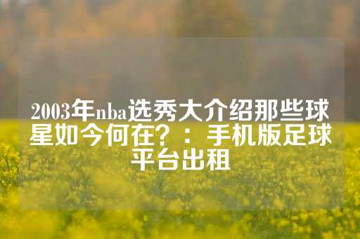 2003年nba选秀大介绍那些球星如今何在？：手机版足球平台出租-第1张图片-皇冠信用盘出租