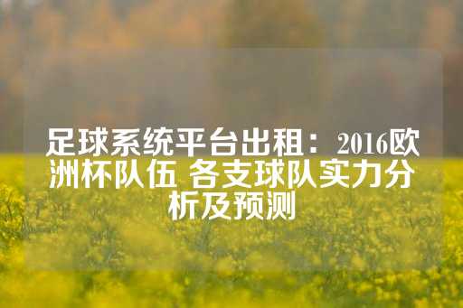 足球系统平台出租：2016欧洲杯队伍 各支球队实力分析及预测