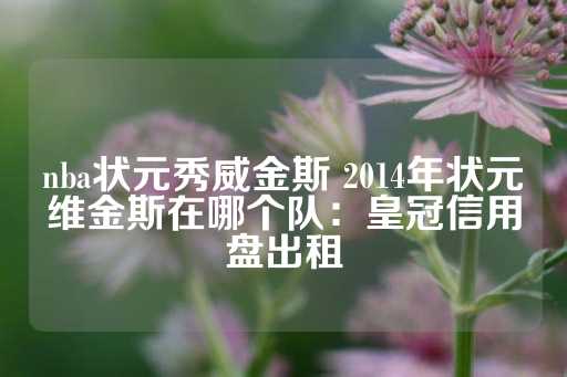 nba状元秀威金斯 2014年状元维金斯在哪个队：皇冠信用盘出租