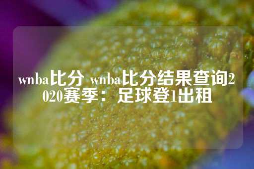 wnba比分 wnba比分结果查询2020赛季：足球登1出租-第1张图片-皇冠信用盘出租