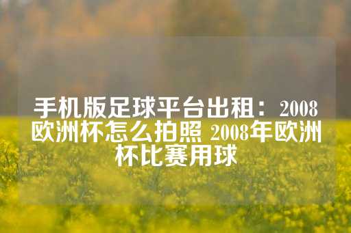 手机版足球平台出租：2008欧洲杯怎么拍照 2008年欧洲杯比赛用球-第1张图片-皇冠信用盘出租