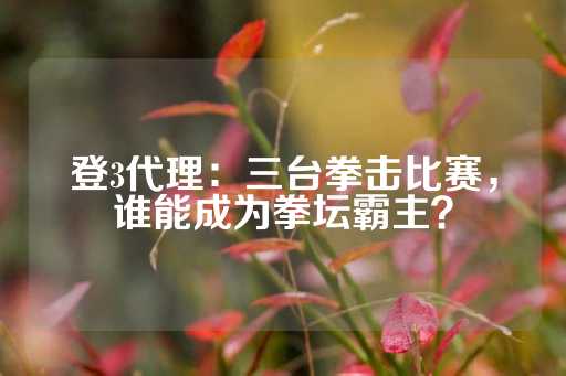 登3代理：三台拳击比赛，谁能成为拳坛霸主？