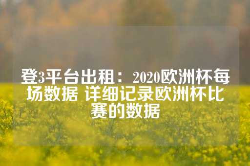 登3平台出租：2020欧洲杯每场数据 详细记录欧洲杯比赛的数据