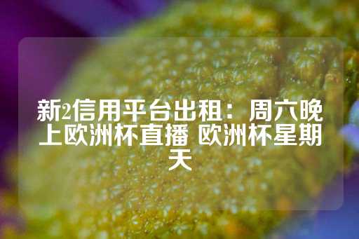 新2信用平台出租：周六晚上欧洲杯直播 欧洲杯星期天-第1张图片-皇冠信用盘出租