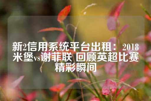 新2信用系统平台出租：2018米堡vs谢菲联 回顾英超比赛精彩瞬间-第1张图片-皇冠信用盘出租