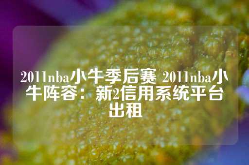 2011nba小牛季后赛 2011nba小牛阵容：新2信用系统平台出租