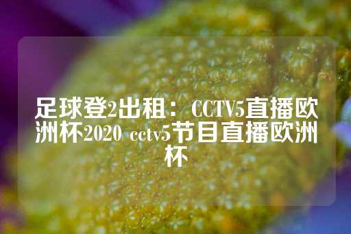 足球登2出租：CCTV5直播欧洲杯2020 cctv5节目直播欧洲杯