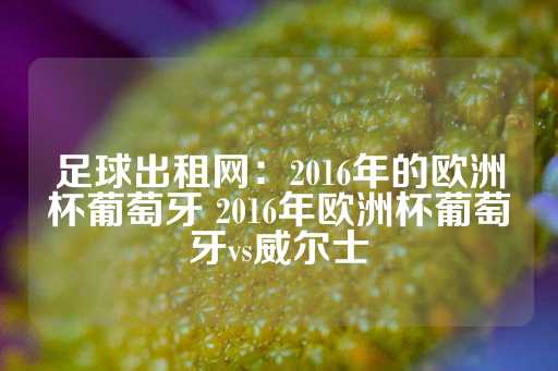 足球出租网：2016年的欧洲杯葡萄牙 2016年欧洲杯葡萄牙vs威尔士-第1张图片-皇冠信用盘出租