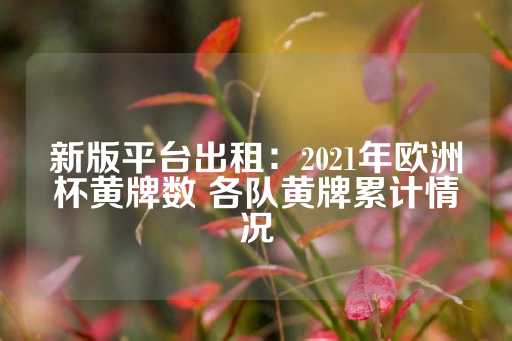 新版平台出租：2021年欧洲杯黄牌数 各队黄牌累计情况