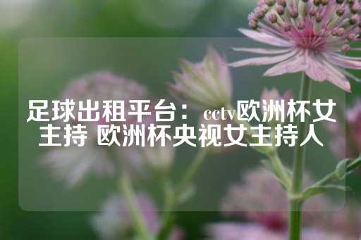 足球出租平台：cctv欧洲杯女主持 欧洲杯央视女主持人-第1张图片-皇冠信用盘出租