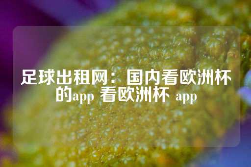 足球出租网：国内看欧洲杯的app 看欧洲杯 app-第1张图片-皇冠信用盘出租