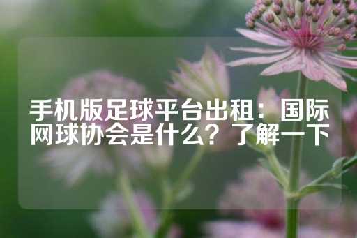 手机版足球平台出租：国际网球协会是什么？了解一下