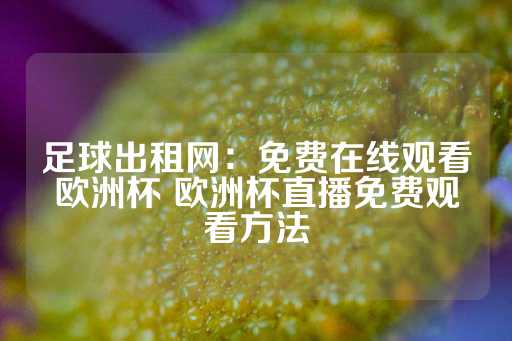 足球出租网：免费在线观看欧洲杯 欧洲杯直播免费观看方法-第1张图片-皇冠信用盘出租